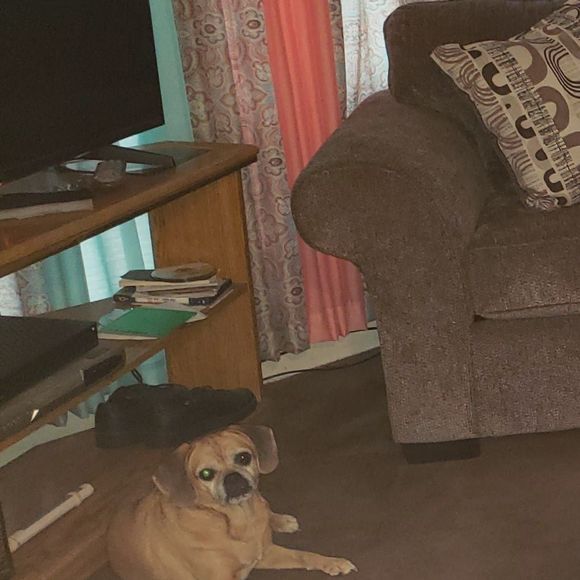 Meet your Posher, Maureen - Picture 1 of 1